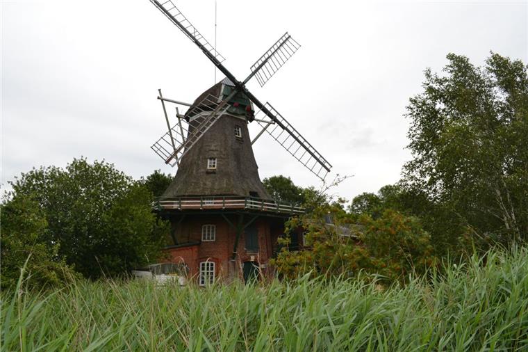 Hoffnung für die Hochzeitsmühle: Bauwerk hat neuen Besitzer Vom Verfall bedroht: Die denkmalgeschützte Dedesdorfer Mühle. Nun gibt es wieder Hoffnung für das Bauwerk.