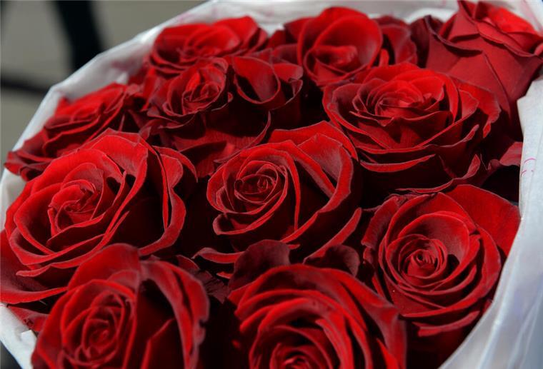 Öko-Test: Beim Rosenkauf auf enthaltene Pestizide achten Ein Strauß Rosen