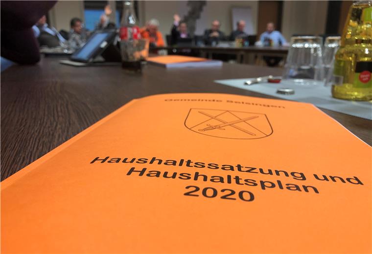 Selsingen investiert ins Schwimmbad und in Baugebiete Von den Ratsfraktionen einstimmig verabschiedet: Etat der Gemeinde Selsingen für 2020.