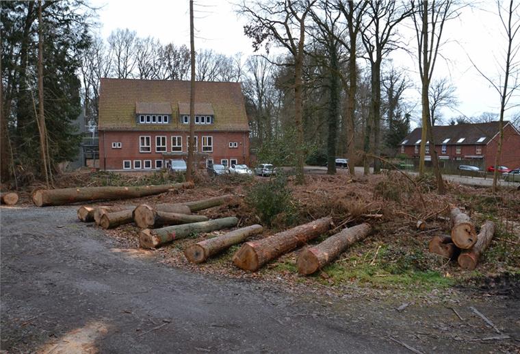 Zeven: Bis Herbst ist das Jugendzentrum umgezogen Baumstämme liegen vor einem Haus