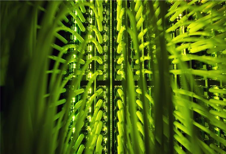Von schnellen Glasfaseranschlüssen und gutem Kundenservice können viele Internetnutzer nur träumen.