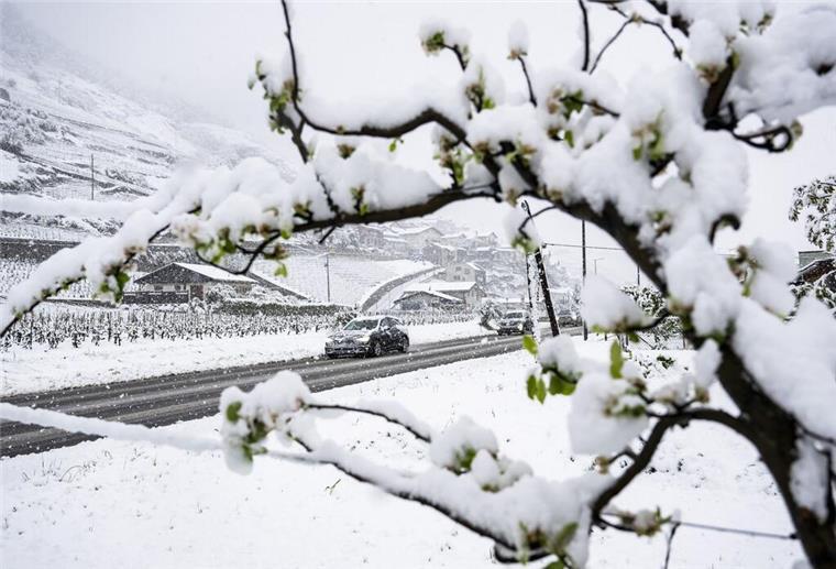 Schnee auf einer Straße 
