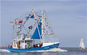 Vor dem Fedderwardersieler Hafen liefern sich Krabbenkutter vom 28. bis 30. Juli Wettrennen.