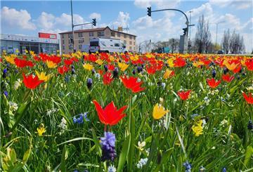Blumen