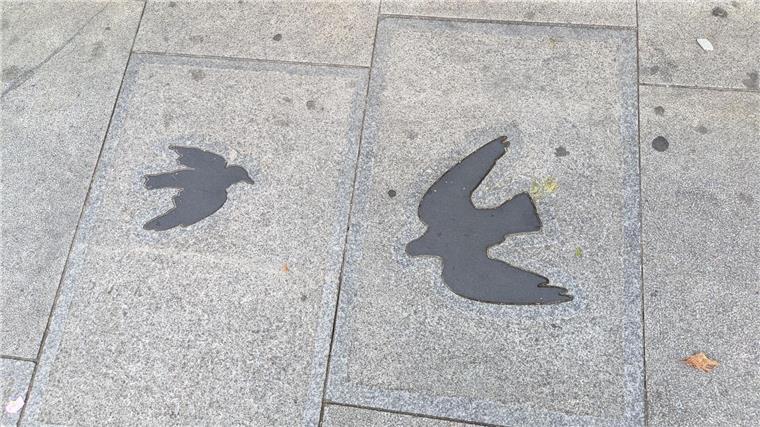 Vor einem Gebäude im Londoner Stadtteil Leytonstone ist der Gehweg mit Vögeln dekoriert, eine Anspielung an Alfred Hitchcocks berühmten Thriller „Die Vögel“. 