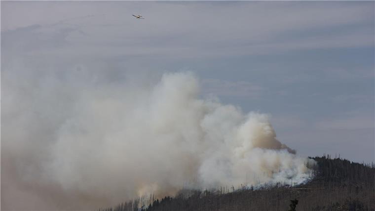 Vor zwei Jahren hatte der Landkreis Harz den Katastrophenfall wegen eines Brandes am Brocken ausgerufen - jetzt ist dort wieder ein Feuer ausgebrochen.