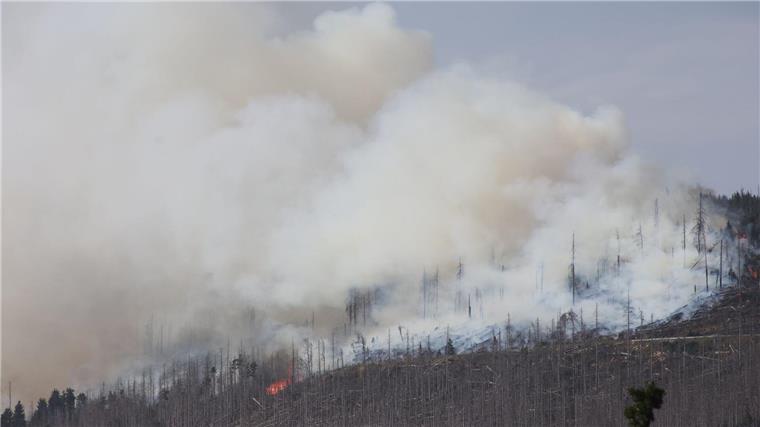 Vor zwei Jahren hatte der Landkreis Harz den Katastrophenfall wegen eines Brandes am Brocken ausgerufen - jetzt ist dort wieder ein Feuer ausgebrochen.