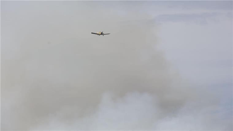 Große Feuerfront am Brocken im Harz Vor zwei Jahren hatte der Landkreis Harz den Katastrophenfall wegen eines Brandes am Brocken ausgerufen - jetzt ist dort wieder ein Feuer ausgebrochen.