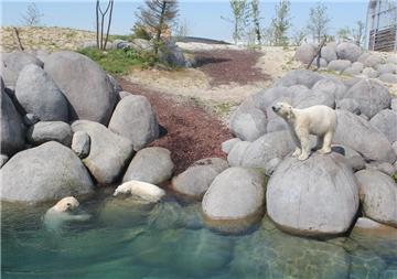 Während Lili Und Noordje im Wasser planschen, schaut Lale den beiden zu.