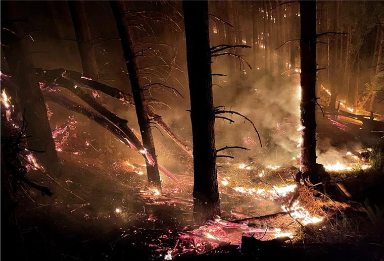Das Waldbrandrisiko steigt - das sollte man jetzt wissen Waldbrände sollte man so schnell wie möglich der Feuerwehr melden.
