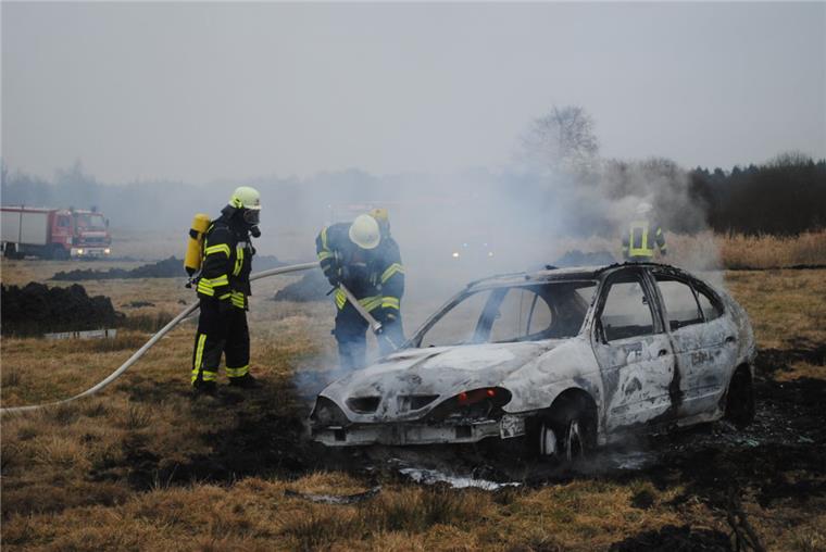 Auto geht in Flammen auf: Landwirt rettet Fahrerin und Hund Warum das Auto auf der Weide Feuer fing, ist noch unklar.