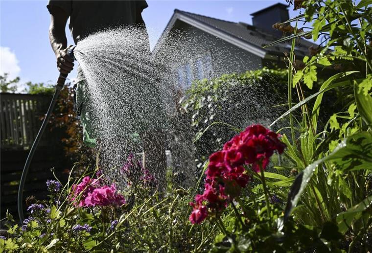 Bis zu 25.000 Euro Bußgeld! Verstoß gegen diese Gartenregeln kann richtig teuer werden An einem heißen Tag wird ein Garten gegossen.