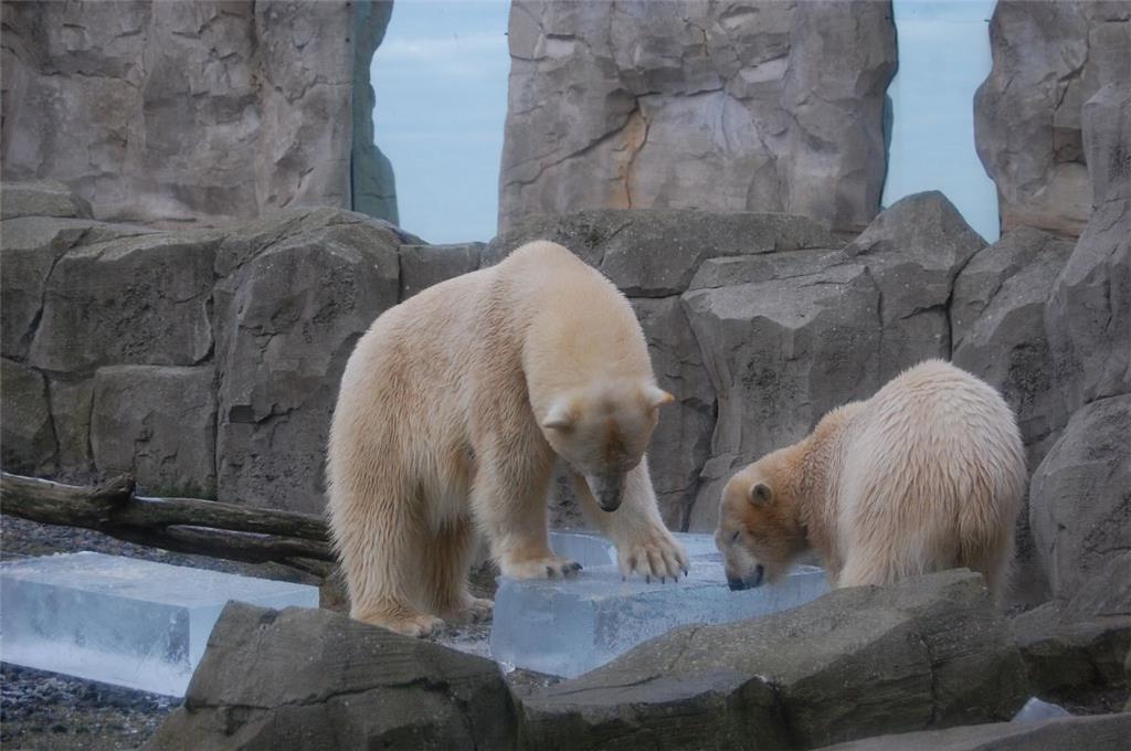 Wasser ist zum Waschen da - oder im gefrorenen Zustand zum Spielen.