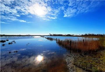Wasser macht die Wiesen Norddeutschlands für viele Arten erst wohnlich - wie hier in Abbehausen.