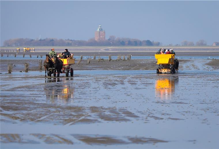 Hilfeschrei auf Neuwerk: Zu wenig Einwohner Wattkutschen mit Touristen sind im Watt zwischen Cuxhaven und der Insel Neuwerk unterwegs.