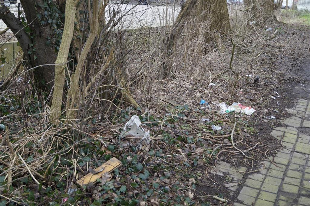 Weg 38 in Lehe: Müll im Gebüsch, Lampenschirm, Plastiktüten. Foto: Hinkelmann