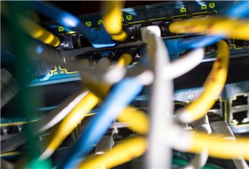  Netzwerkkabel stecken in einem Serverraum in einem Switch.
