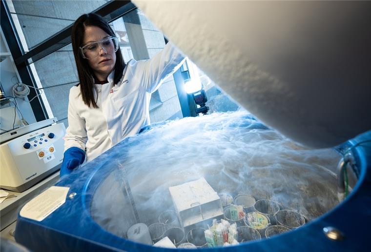 Gericht in Celle: Kein Anspruch auf Einfrieren von Samenzellen Ruth Gomez, Reproduktionsmedizinerin/stellver. Leiterin des Mainzer Kinderwunsch- und PID-Zentrums, steht an einem Kryotank mit tiefgefroren Spermien und Embryos in bestimmten Stadien.