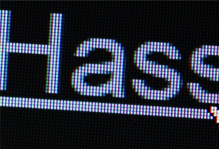 1600 Hinweise auf
Internet-Hetze Wegen Hasspostings ermittelt die die rheinland-pfälzische Ermittlungsgruppe „Hate Speech“.