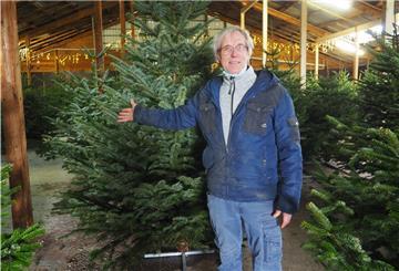 Weihnachtsbäume gibt es auch bei Andreas Speckels-Suhren auf dem Hof Königsfeld am Mittelweg. In diesem Jahr stehen die Tannen überdacht in der Scheune.