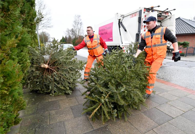 Bremerhaven: BEG sammelt 80 Tonnen Weihnachtsbäume ein Weihnachtsbaum-Abfuhr der BEG in der Postbrookstraße in Bremerhaven: Henryk Bianga (links) und Konstantin Ebert packen an.