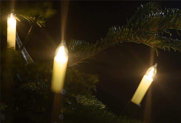 Weihnachtsbeleuchtung in Leherheide zerstört Lichter an einem Tannenbaum.