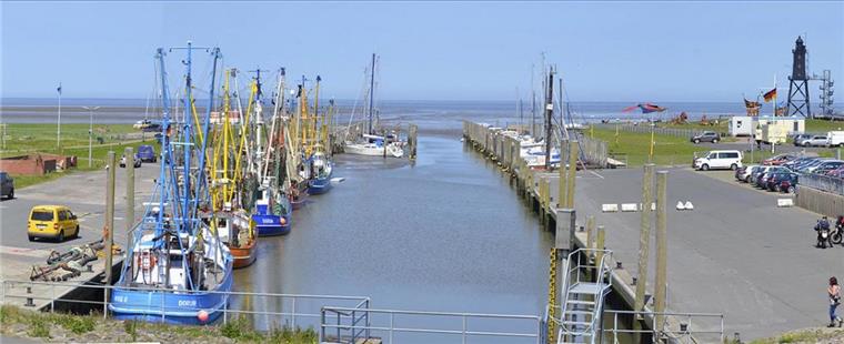 Bakterien zerfressen den Hafen in Dorum-Neufeld Weil Bakterien den Spundwänden zugesetzt hatten, wurde die Nordseite des Kutterhafens (rechts) von Dorum-Neufeld 2009 aufwendig saniert.