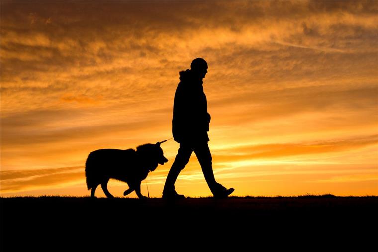 Weil ein Mann seinen Hund vermisste, ging er zur Polizei - und wurde verhaftet.