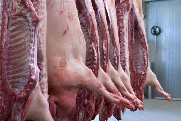 Laster mit Schweinehälften umgekippt - Stau rund um Hamburg Weil in der Nacht zu Freitag ein mit Schweinehälften beladener Lkw umgestürzt ist, staut es sich rund um A7 in Hamburg.