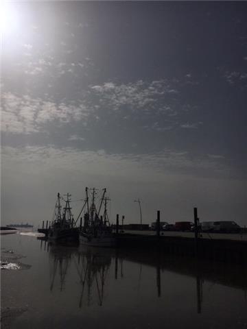 Weitestgehend klarer Himmel am Kutterhafen in Wremen. Foto: Maffiotte