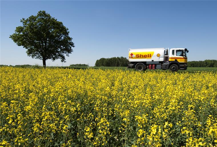 Biosprit soll per Gesetzesänderung begrenzt werden Ein Tankwagen von Shell fährt auf einer Straße. Im Vordergrund ein Rapsfeld.