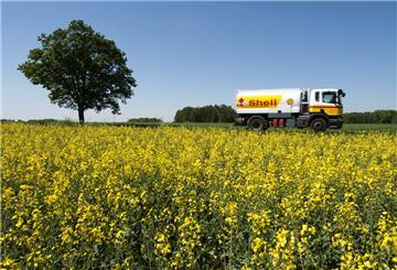 Ein Tankwagen von Shell fährt auf einer Straße. Im Vordergrund ein Rapsfeld.