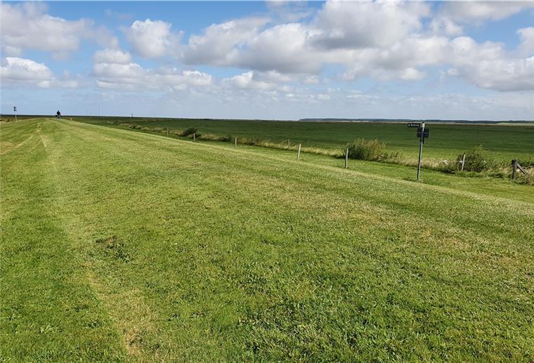 Wenn der Sommerdeich - wie hier in Spieka-Neufeld - an mehreren Stellen geöffnet wird, kann das Meer sich das Land ein Stück weit zurückerobern. Die Dorfbewohner fürchten um ihr archäologisches Baudenkmal.