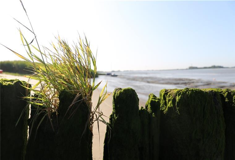 Verbot aufgehoben: In Sandstedt darf wieder gebadet werden Wenn die Badesaison am 15. Mai eröffnet wird, ist auch am Sandstedter Strand das Baden in der Weser wieder möglich.