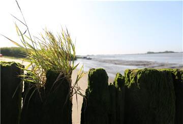 Wenn die Badesaison am 15. Mai eröffnet wird, ist auch am Sandstedter Strand das Baden in der Weser wieder möglich.