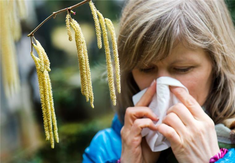 Pollenallergie: Immunsystem ist immer im Wandel Wenn die Temperaturen milde sind, dann beginnt für Pollenallergiker die Leidenszeit.