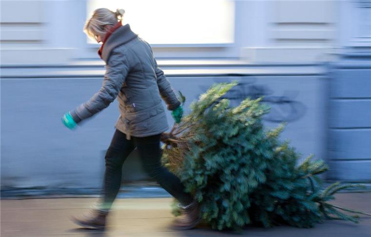 Weihnachtsbaum entsorgen: In Geestemünde bekommt ihr dafür 10 Euro geschenkt Wer am Sonnabend in Geestemünde schnell genug seinen Weihnachtsbaum entsorgt, bekommt einen Einkaufsgutschein in Höhe von 10 Euro.