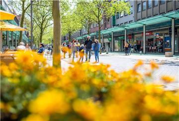 Blumen im Vordergrund und eine Straße.