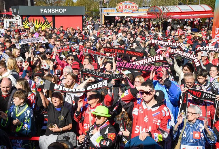 Wer die Fischtown Pinguins liebt, sollte dieses Quiz nicht verpassen – 15 Fragen für wahre Fans!