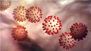 Wer glaubt, dass er sich möglicherweise mit dem neuartigen Coronavirus infiziert haben könnte, sollte einige Hinweise beachten.  Welche, erläutert der Landkreis Wesemarsch auf seiner Internetseite.