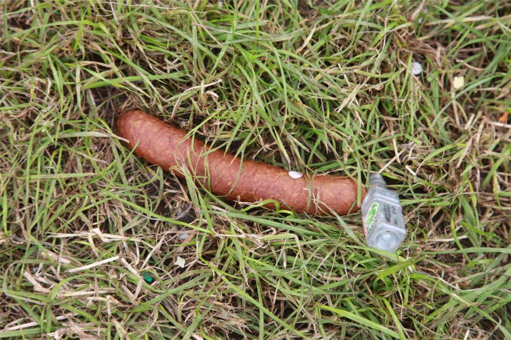 Wer hat da denn nicht aufgegessen? Foto: Leuschner