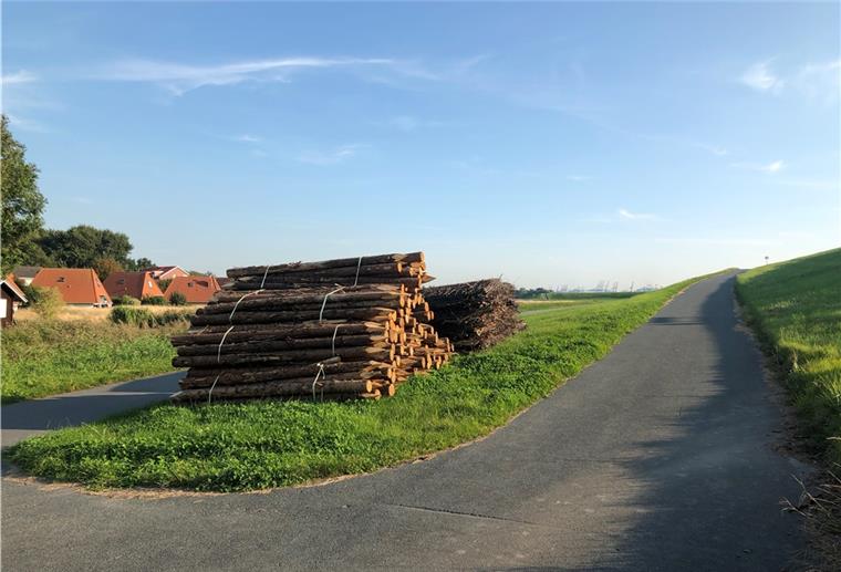 Pfähle für den Deichschutz Wer hinter dem Deich in Richtung Wremen unterwegs ist, dem sind bestimmt die großen Pfähle und die Reisigmatten aufgefallen.