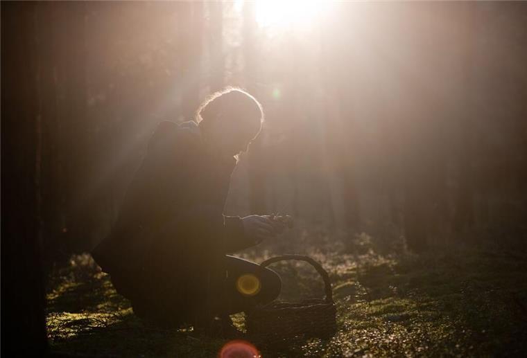 Eine Frau sitzt im Wald und sucht Pilze. 