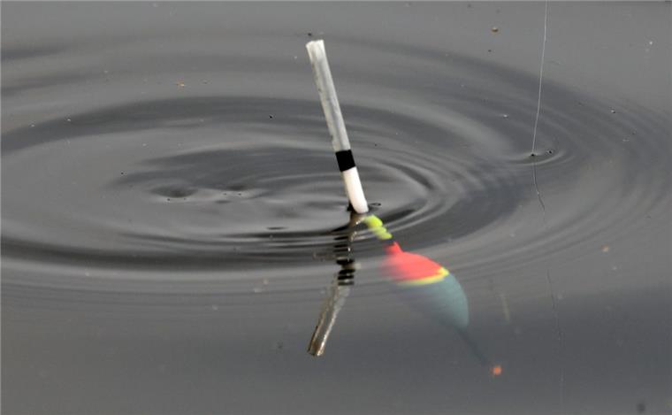 Stadland: Schwarzangeln kann richtig teuer werden Wer künftig im Trüben fischt, als schwarz angelt, muss in Stadland mit hohen Kosten rechnen.