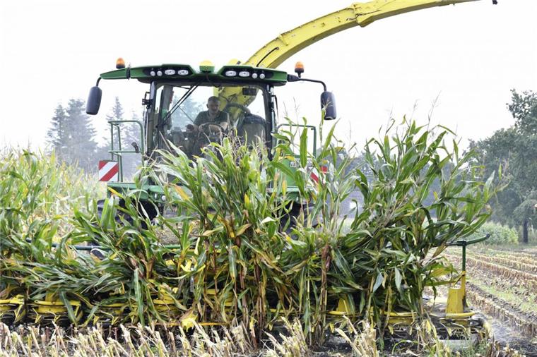 Landmaschinen als Problem: Bauern werben für mehr Verständnis Wer viel arbeitet, hat auch viel Hunger: Der Maishäcksler ist mit 19,5 Tonnen und 7,50 Meter Arbeitsbreite ein Gigant. Er vernichtet ungefähr 35 Hektar Mais pro Tag.