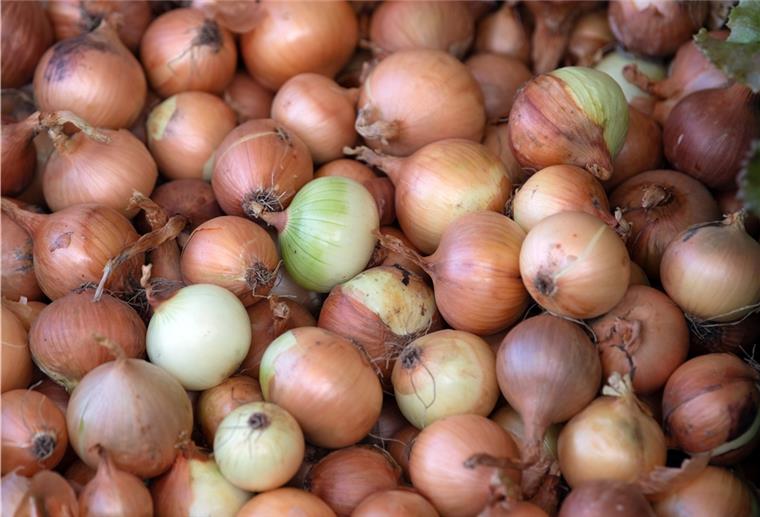 Warum wir beim Zwiebelschneiden heulen Zwiebeln liegen in einem Korb neben dem Feld des Ökobauern Axel Szilleweit.