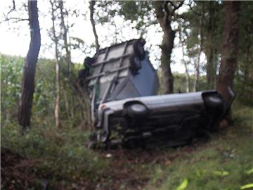 Wie durch ein Wunder wurde das Pferd bei dem Unfall in Geestland nur leicht verletzt.