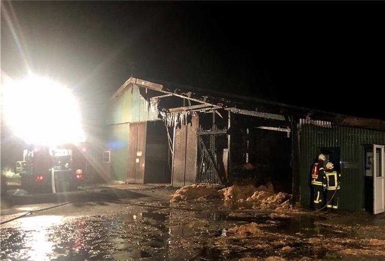 Flögeln: 125 Rinder aus brennendem Stall gerettet Wie es zu dem Feuer kam, ist derzeit noch unklar.