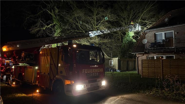 Sturmschäden in Niedersachsen - mehrere Verletzte Wie hier in Aurich rückte die Feuerwehr wegen des Sturmtiefs vielerorts in Niedersachsen aus.