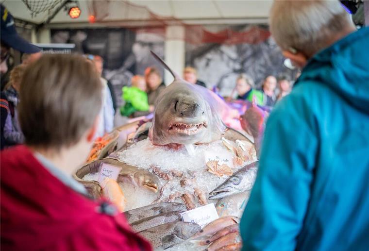 Ganz schön fischig! Bilder der Fischparty im Fischereihafen Bremerhaven Wie in jedem Jahr ist das Fischbett ein echter Hingucker und Publikumsmagnet.